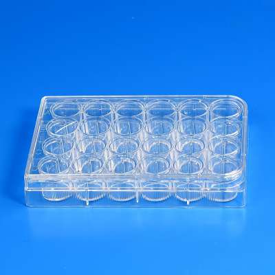 24 Well sterile cell Culture Plate